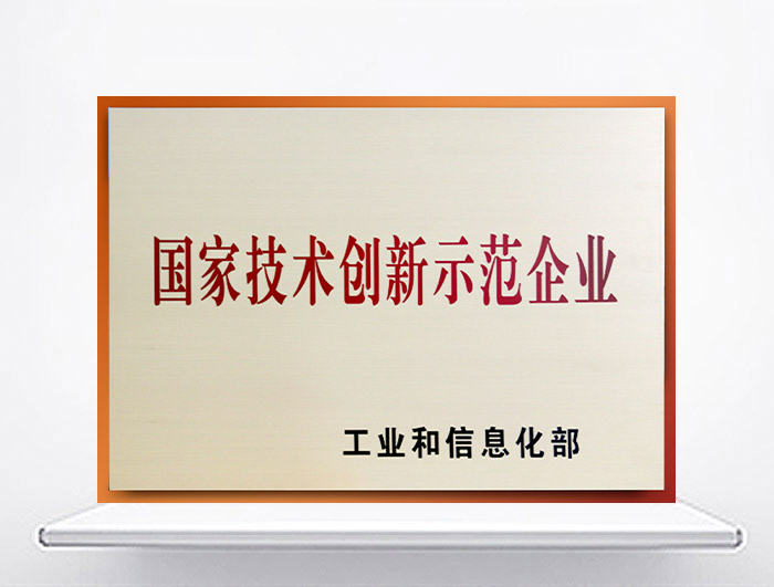 國家技術創(chuàng)新示范企業(yè)